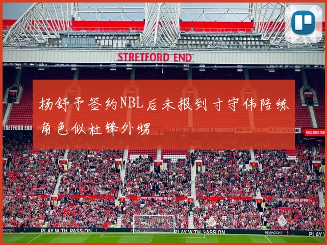 杨舒予签约NBL后未报到寸守伟陪练角色似杜锋外甥