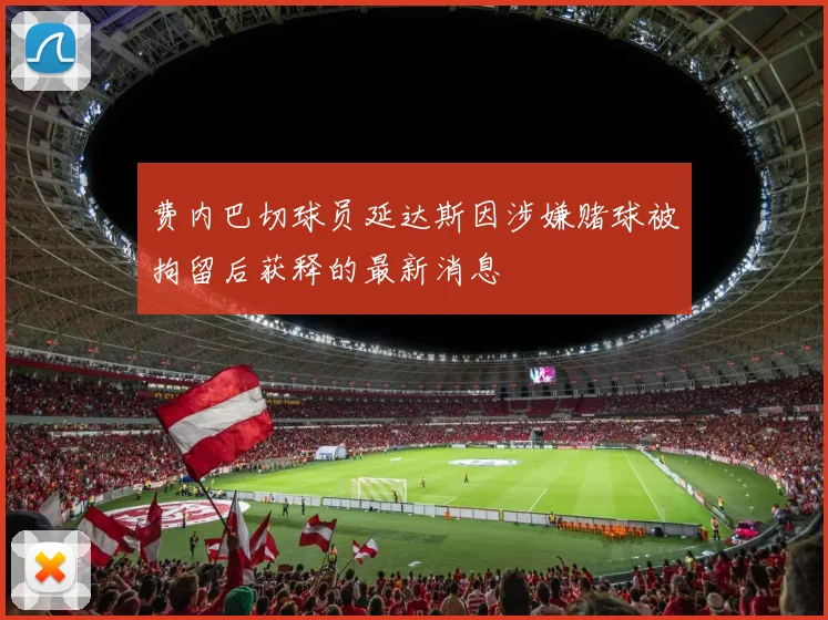 费内巴切球员延达斯因涉嫌赌球被拘留后获释的最新消息