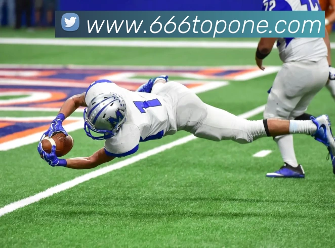 米兰app体育安全登录入口平台生态图